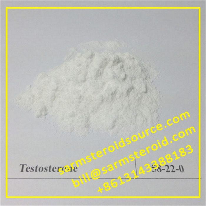 Testosterone Base Steroid Powder