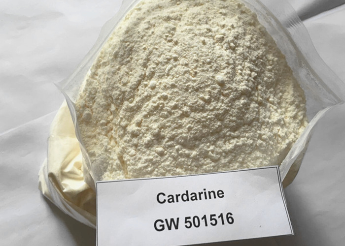 SARMs GW501516 / Cardarine Pó